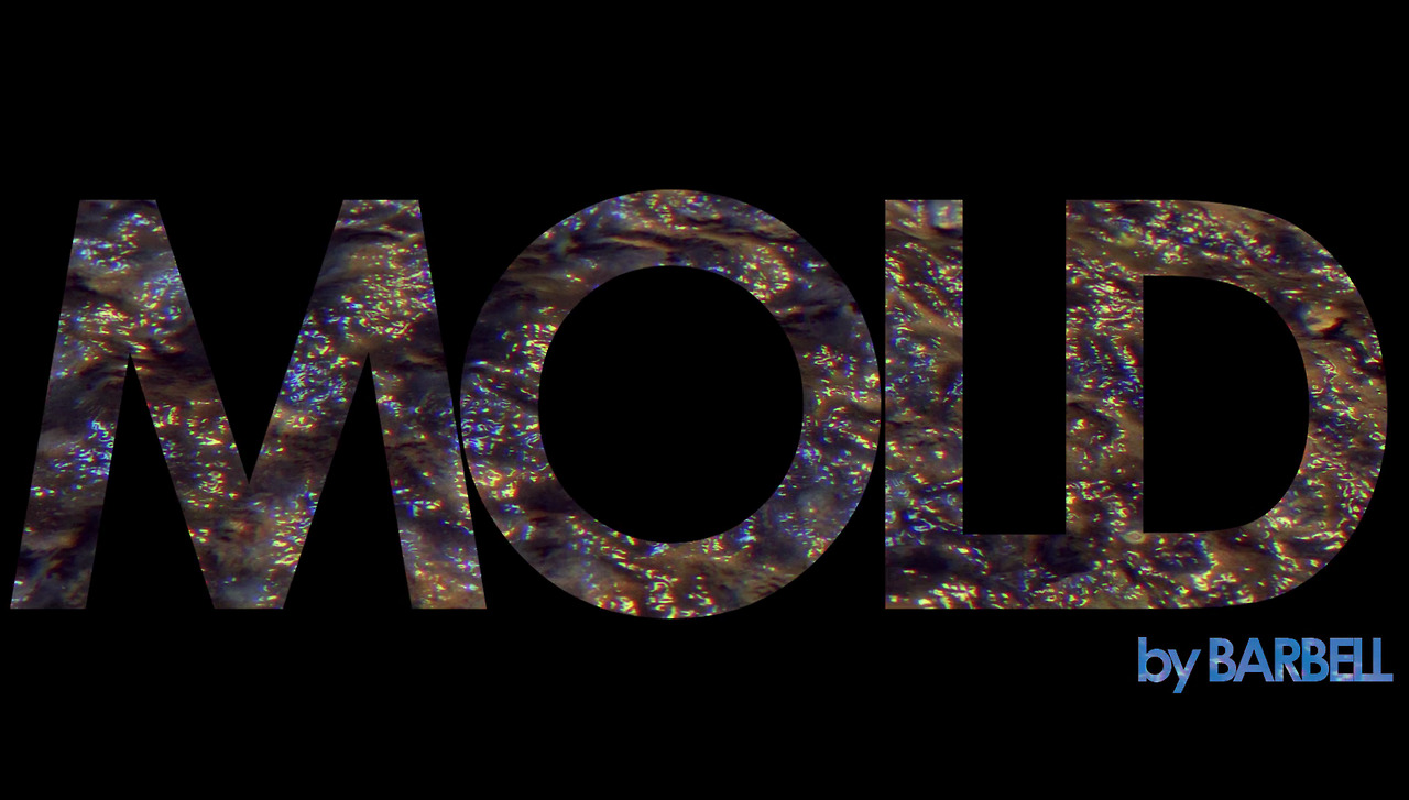 barbellsfm: Movie Release: MOLD, its a small flick to gear me up to a Zoe vs Mold