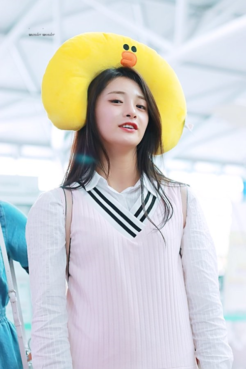 fyjieqiong:  © wander wonder // do not edit or crop logo