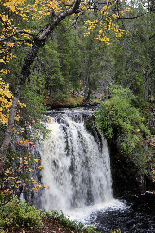 Yxingåfallet in Dalarna, Sweden. One of the most wonderful places I’ve ever been to. 