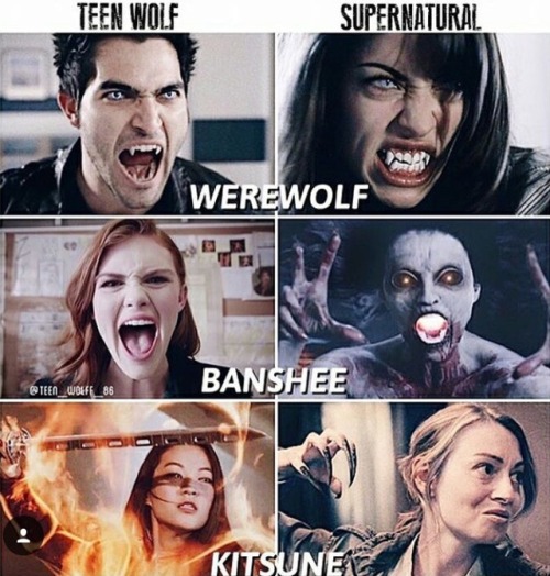 Teen wolf vs. supernatural