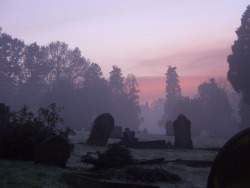 taphophilia:  Cemetery Sunset 