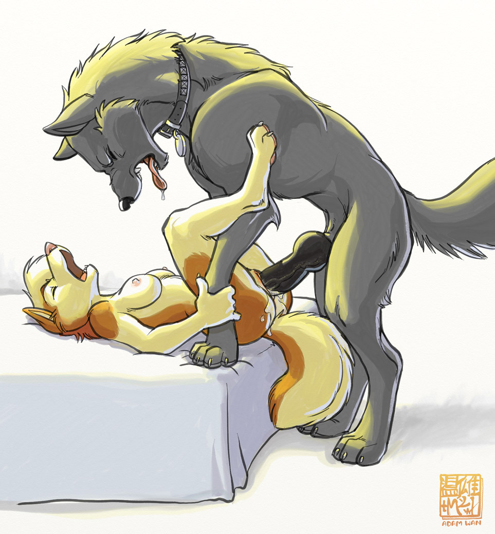 Furry hentai having sex with boy