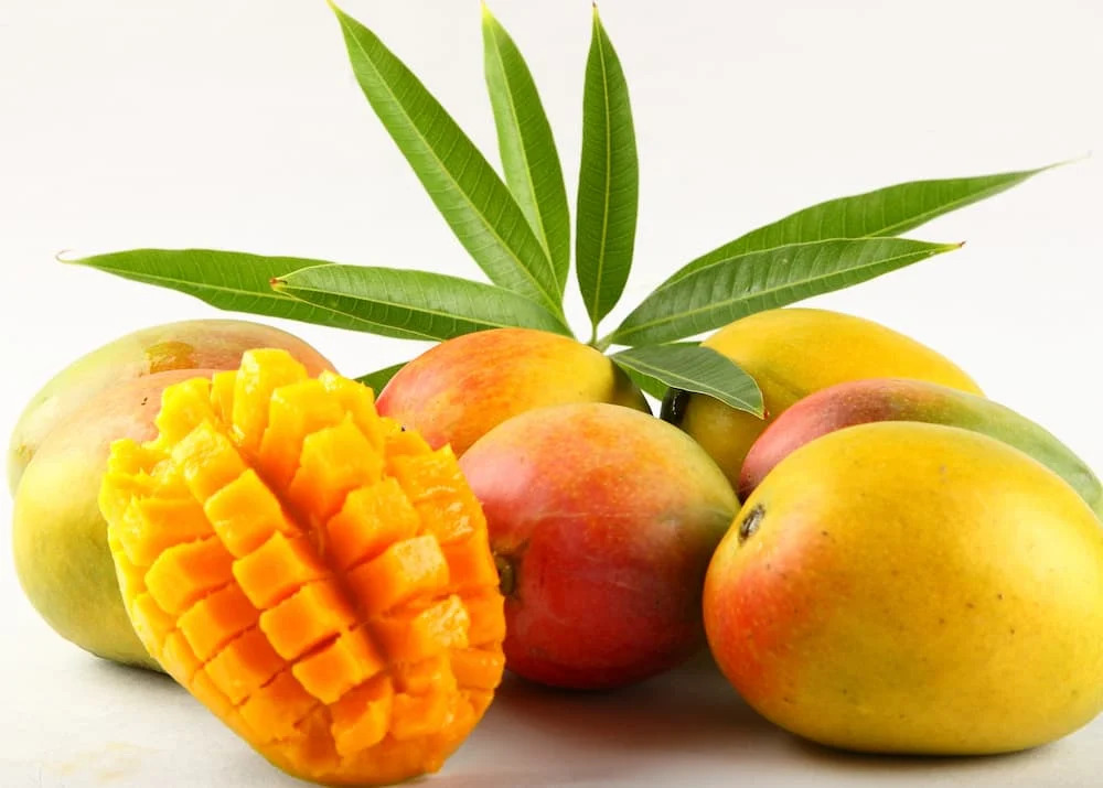 alphonso mango