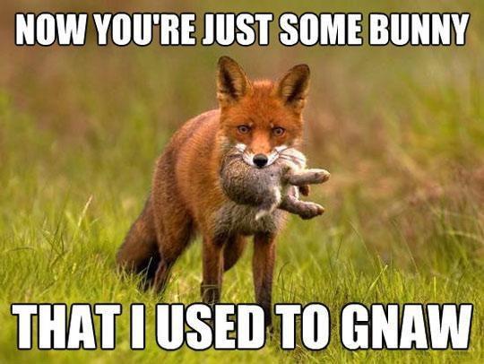 georgetakei:  Said to the bunny, “Got-ye.” 