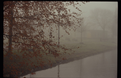 taranegerton:misty mornings in maastrichtcanon ae-1 // kodak vision3instagram &amp; flickr