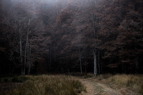 October 31, 2021Corno di Bellaria, Monte Amiata (Italy) ©  Maurizio Antonelli   