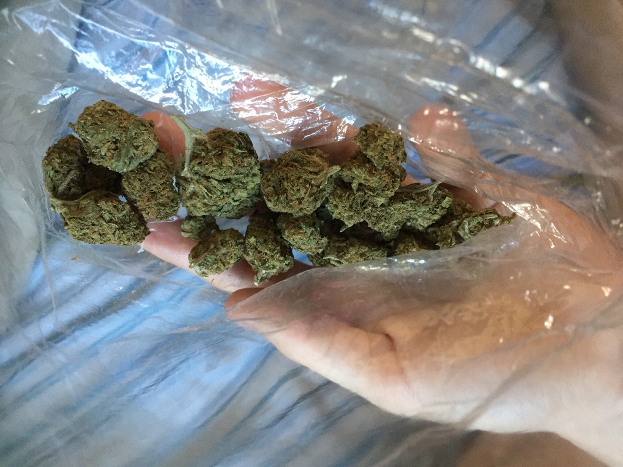smokethesativa:  mjbislove:  Cali train wreck 😛  SmOkE tHe SaTiVa