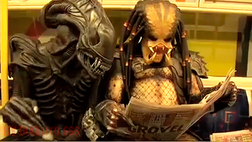 tumblr_pa0oebjMsy1xs9i13o1_500.gif