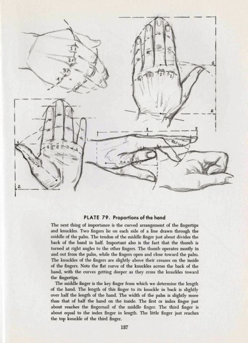 How to draw hands, part 2 (of 2). Pages from a handbook, plus several sheets of random examples.Part