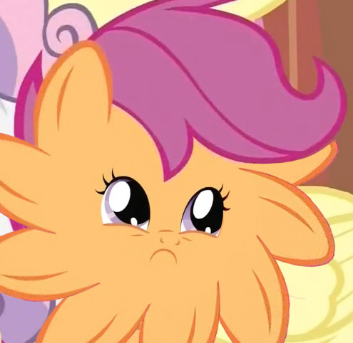 fisherpon:  chevrium:  oh god what have i done  scootalion