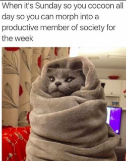 cutex24:  introvertproblems:  introvertproblems:  JOIN THE INTROVERT NATION MOVEMENT  Happy Sunday Tumbling Everyone!  totally, Sunday is my ‘recharge the brain’ day, and if I have to do something/go somewhere on a Sunday then I take Monday off of