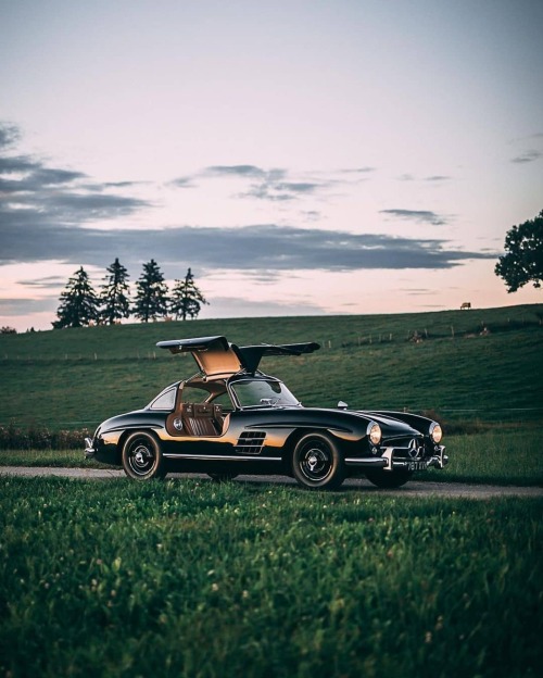 utwo:  Mercedes 300SL Gullwing© stephan