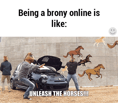 raritysstallion:Horses. Horses everywhere.