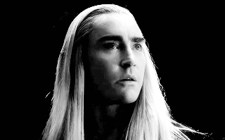 orcpher:The White gems of Lasgalen. I know an Elf-lord who will pay a pretty price for these.