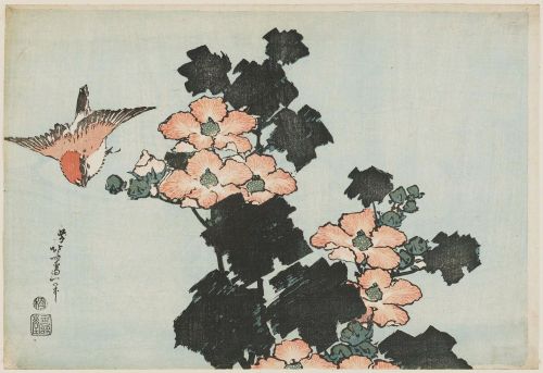 Sex malinconie:  Flowers by Katsushika Hokusai pictures