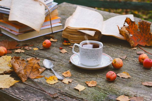 Autumn Cozy