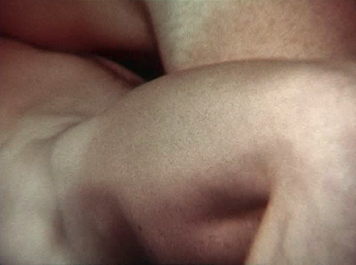 pierppasolini:Not for Sale (1972) // dir. Bob Mizer