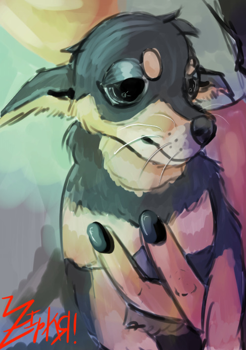 Drew My Friends Little DoggoIgnore How Bad The Skin Tones Are Idk How To Do It Correctly