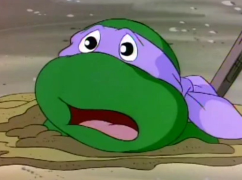 Merry Christmas And TMNT Update!