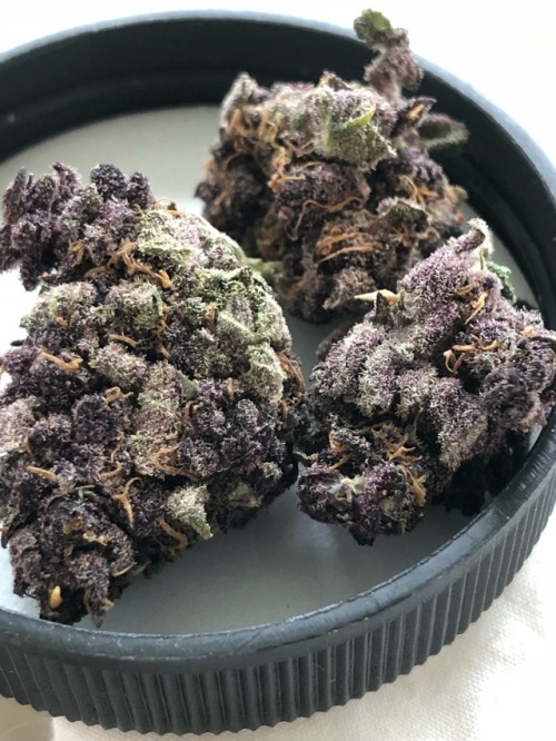 petitepotprincess: PurpleLemonHaze☁️