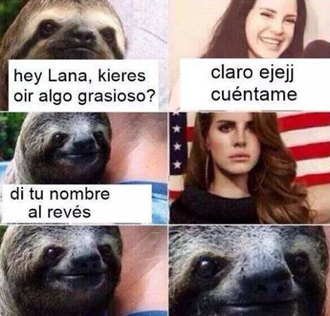 Follamos con Gordas