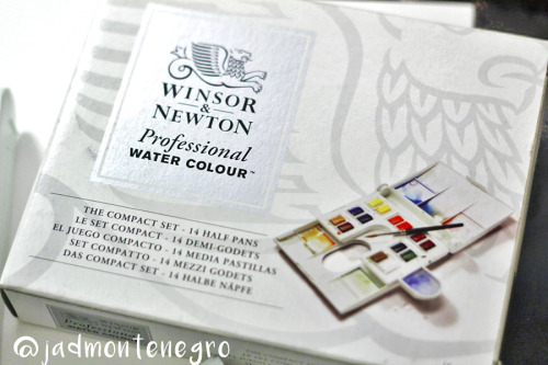 Trying out the Winsor and Newton Professional Series 14 pan set! 