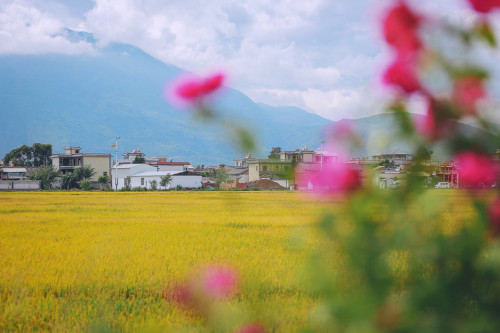 Dali(大理), Yunnan Province, China. ( cr: 刘顺儿妞 )