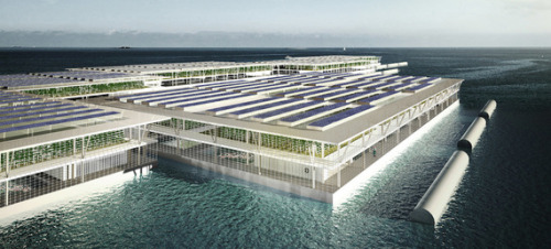 agritecture: Crops Ahoy: Farms That Float No Land? No Problem. If Barcelona-based Forward Thinking A