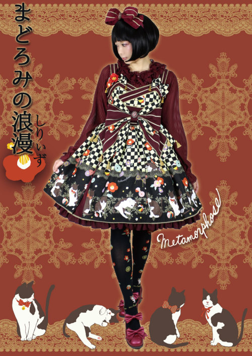 metamorphoseinternational:  New series “Dozing Cat” will be available for pre-order on N