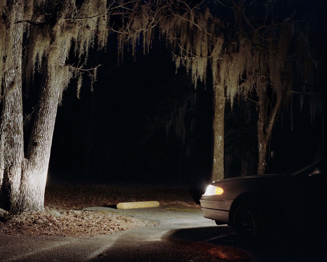 untrustyou: Amira Stutzle