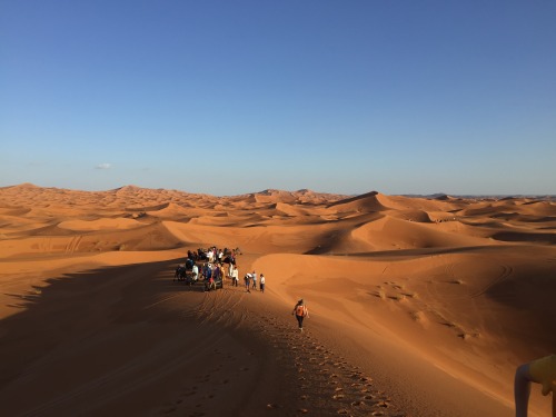 unedited, Sahara Desert, Merzouga, Morocco 