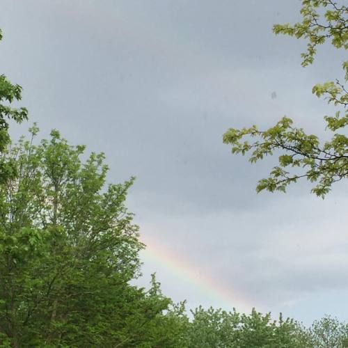 Double rainbow! #rainbow #doublerainbow #nofilter