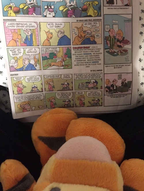 littlesexythings:Tiggy likes to read the paper too