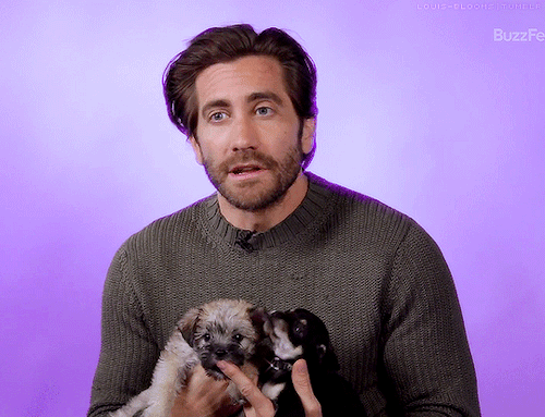 louis-blooms:Jake Gyllenhaal Plays With Puppies While Answering Fan QuestionsThis sweater is destroy