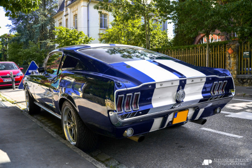 throttlestomper:  Ford Mustang Fastback [x]  Mmm fucking Unf, cargasm to the max!!