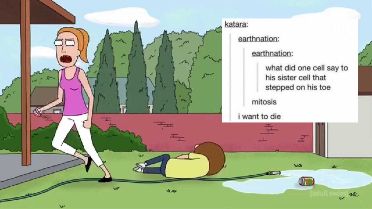 theboogeywoman:  so i got bored so heres some rick and morty textposts! these are