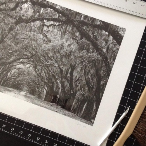 I&rsquo;m working on the 4th but I don&rsquo;t mind. This print of Savannah&rsquo;s Avenue of the Oa