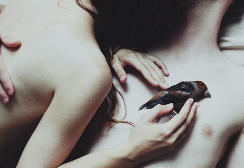 † we were born to die †