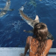 oceanssstars