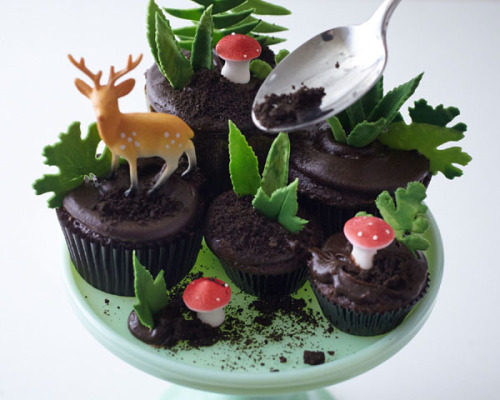 ugly–cupcakes: DIY CUPCAKE TERRARIUM