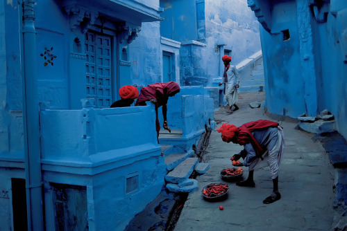 contramonte: San Lazzaro (Bologna), 28 novembre 2011, libreria Ulisse. Steve McCurry, lecture aperta