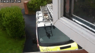 hoodiedog:So, that’s how he gets in…