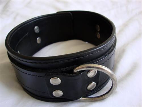 My Leather Collar