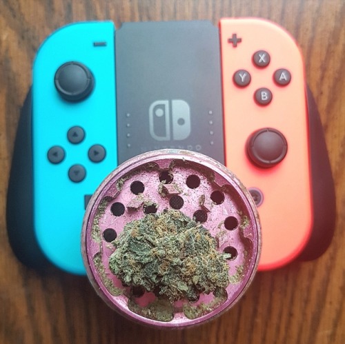 kushycat: Got a new toy