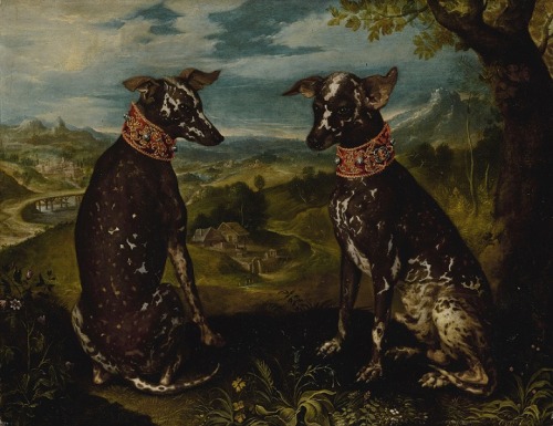 oldpaintings: The Mexican Xoloitzcuintli, c.1580-1600 Prague School