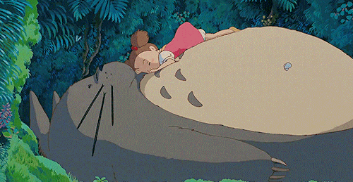 Porn Pics kateverdeen: My Neighbor Totoro (1988) dir.