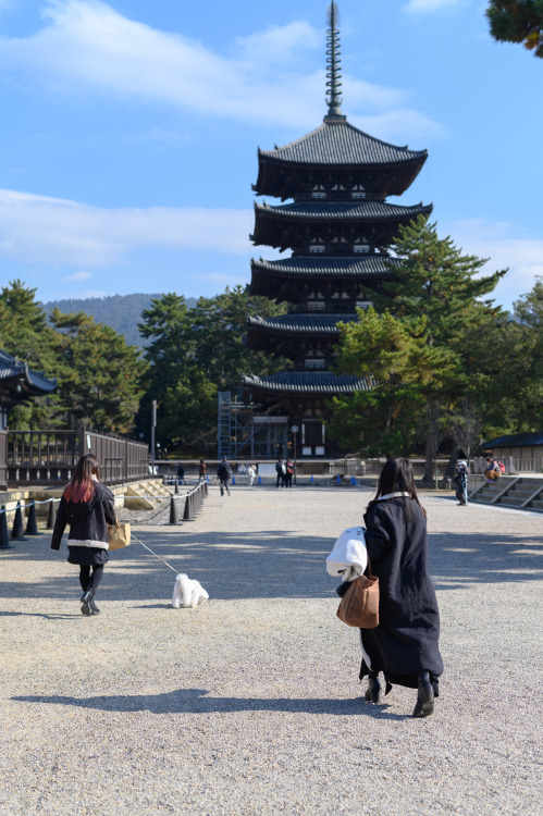 five-storied pagodaKōfuku-ji Temple, Nara, December 2021