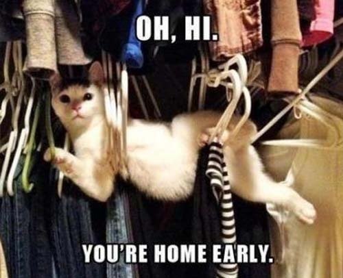 the-absolute-funniest-posts:  This post has been featured on a 1000Notes.com blog!