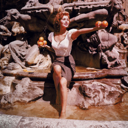 Poboh:  Sophia Loren, Rome, 1955, Ormond Gigli .  L’oeil De La Photographie 