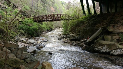 Rottenwood Creek and a hitchhiker I picked up this afternoon.